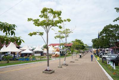 Painel da Agrotec 2025 discute inovação e mercado para agroindústrias na Amazônia