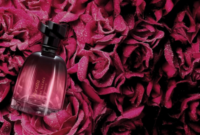 O Boticário lança Floratta Rose Sucrée com rosa damascena moderna