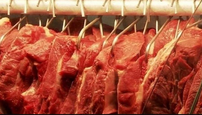 Rondônia conquista autorização para exportar carne bovina ao Canadá