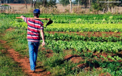 Desenrola Rural já registra 313 mil renegociações e R$ 6 3 bilhões recuperados