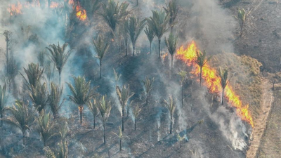 El Nino até 2027 eleva risco de seca e incêndios em Rondônia