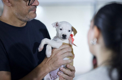 EmpreendePet atrai público em Porto Velho com adoção de 200 pets