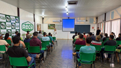 Deputada Ieda Chaves entrega 150 mil mudas de café para agricultores em Rondônia