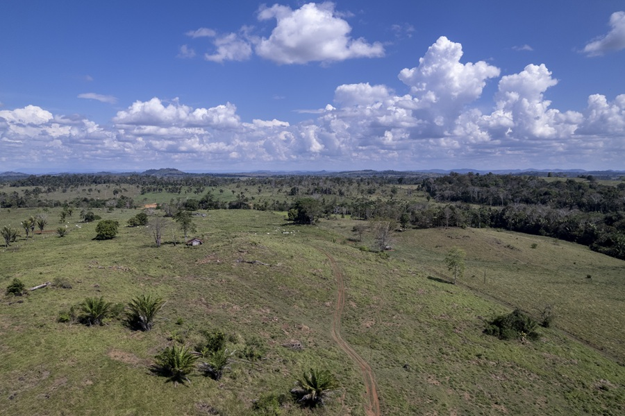 Vista aérea de área com indícios de garimpos inativos em RO.
