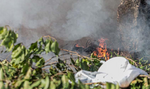 Porto Velho aumenta combate a queimadas em verao critico