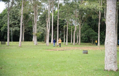 Prefeitura de Porto Velho lança normas para manejo de árvores urbanas