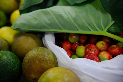 Lula veta 14 trechos de projeto sobre agrotóxicos para preservar saúde e meio ambiente
