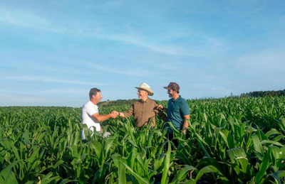 Sicredi libera 48 bilhões em crédito rural e amplia carteira