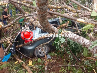 Temporal em Ministro Andreazza provoca queda de árvore e deixa feridos